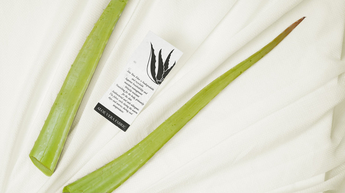 Why Aloe Vera Is 2025’s Most Unexpected (and Genius) Sustainable Fashion Trend