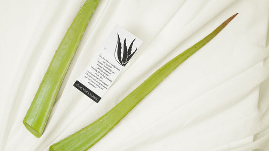 Why Aloe Vera Is 2025’s Most Unexpected (and Genius) Sustainable Fashion Trend